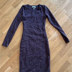 Aritzia Long Sleeve Dress in Brown